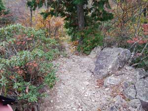 �R�����瑱���o�R���B