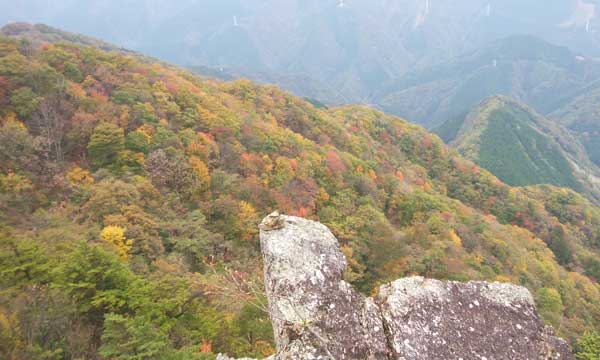 �s�[�N����̒���