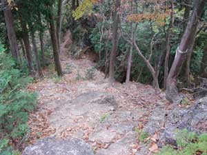 �s�[�N����̓o�R���B