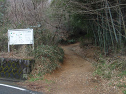 �o�R��(�X�^�[�g�n�_)