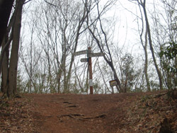 ����̕W��