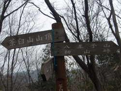 ����̕W��