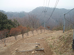 ���P�R �R������̉��R