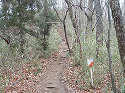 ���R�����ʂɍX�ɐi��