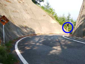 �J�[�u�~���[