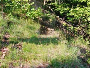 �J�[�u�~���[����̓o�R��