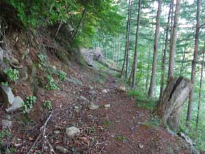 �Ȃ��炩�ȓ�