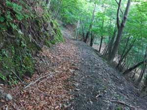 �Ȃ��炩�ȓ�