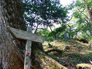 �����̃s�[�N