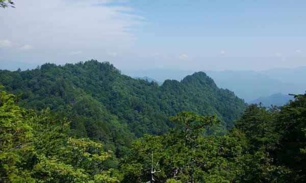 ���̐悪�R��