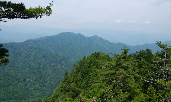 �R���t�߂���̒��߁B