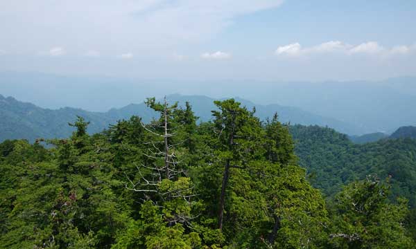 �R���t�߂���̒��߁B