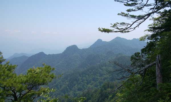 �R���t�߂���̒��߁B