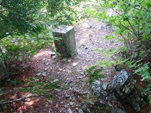 �O�p�_�ۂ��s�[�N�_