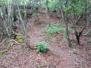 �V�ێR����