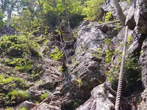 ���[�v��