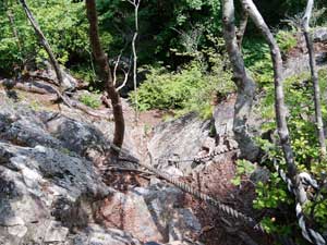 ���[�v��"