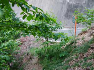 �A�X�t�@���g�̓�