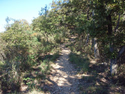 ���������̓�