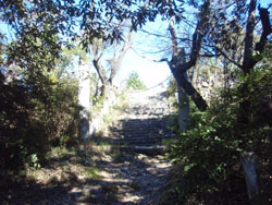 �����ƐΒi