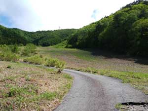 �X�L�[��̃Q�����f�̒��̓�