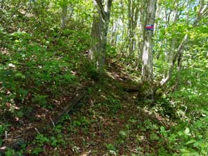 �{���炵���`�o�R��