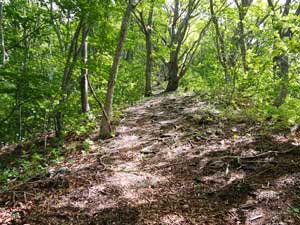 �����ؓ�