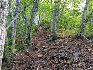 �����ؓ�