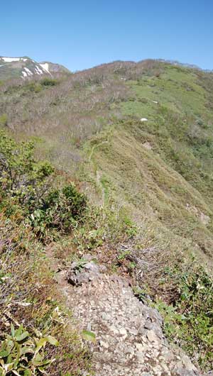 �R������̓o�R���B