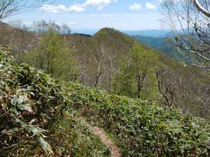 ���򂩂�̓o�R��