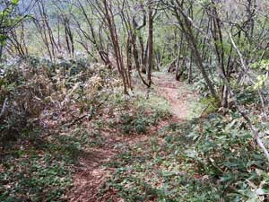 三角山からの登山道。