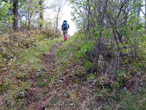 ���R�ĊJ�`�`