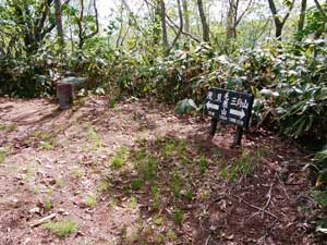 �і��R�R��