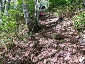 �R������̓o�R���B