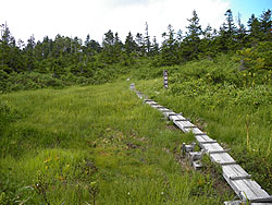 �O�i�c�㎼��