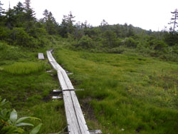 �O�i�c�㎼��