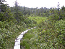 �O�i�c�㎼��