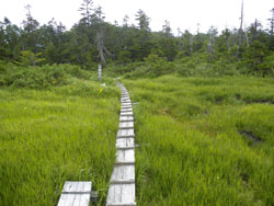 �O�i�c�㎼��