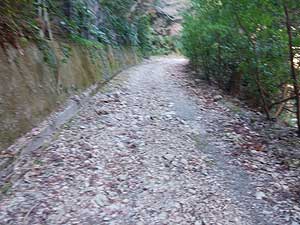 ���Ԓn����̓o�R���B