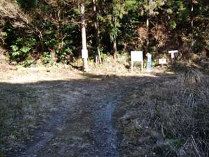 �o�R������̓o�R���B