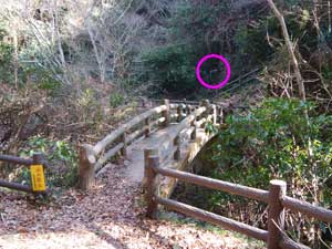 �����ȋ�