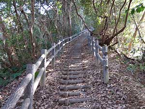 �ē�����̓o�R���B