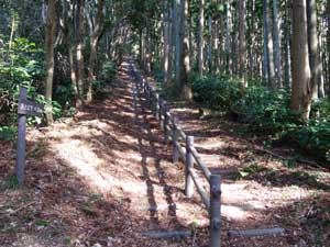 ���򂩂�̓o�R���B