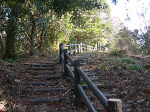 ���򂩂�̓o�R���B