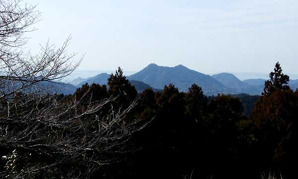 �R������̒���