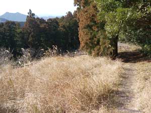 ���R�J�n�`