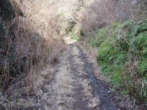 4�h�ꂩ��̓o�R��(�ѓ�)