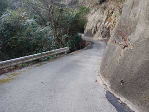 �ԗ��ʍs�~2����̓o�R��(�ѓ�)