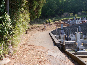 �������̕�n