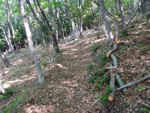 ��n�����p�̉��ݓ�